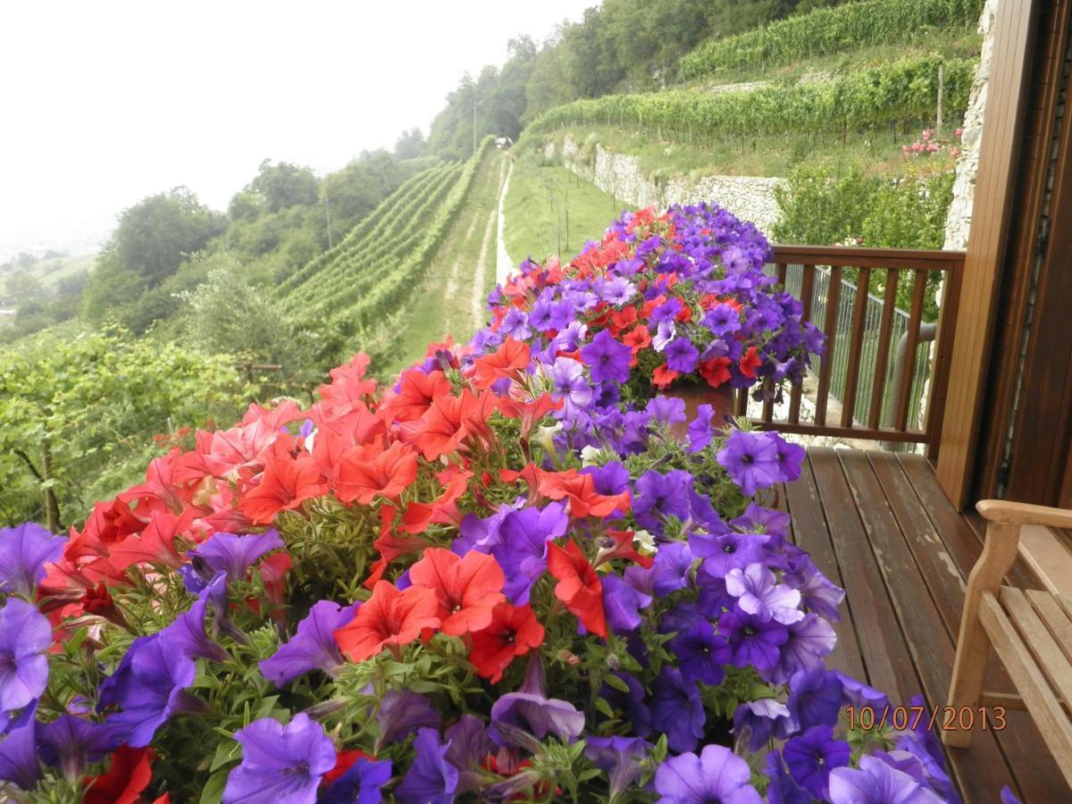 B&B Al Ghiro Villa Lagarina Номер фото
